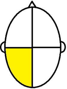 cognitive3